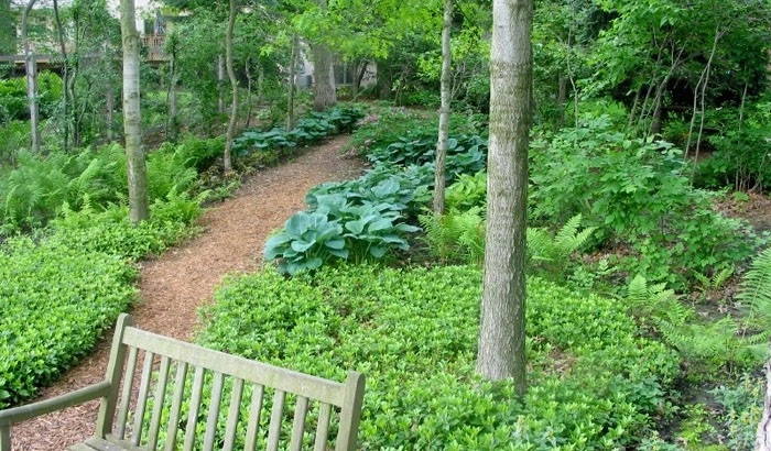 Beautiful Landscapes by Bachman's Landscaping & Garden Services - Photo 4