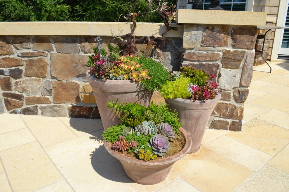 Spring & Summer Pots by Bachman's Landscaping & Garden Services - Photo 18