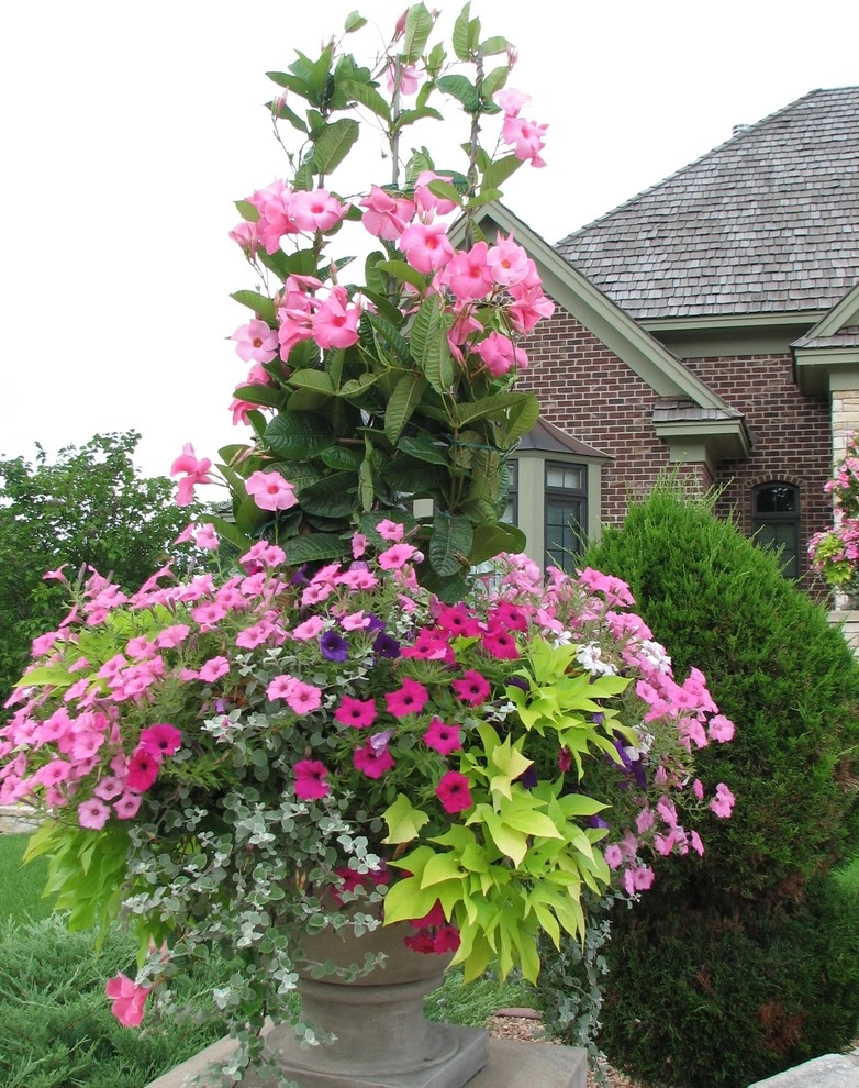 Spring & Summer Pots by Bachman's Landscaping & Garden Services - Photo 20