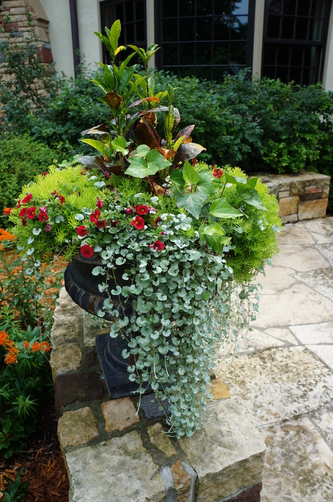Spring & Summer Pots by Bachman's Landscaping & Garden Services - Photo 5