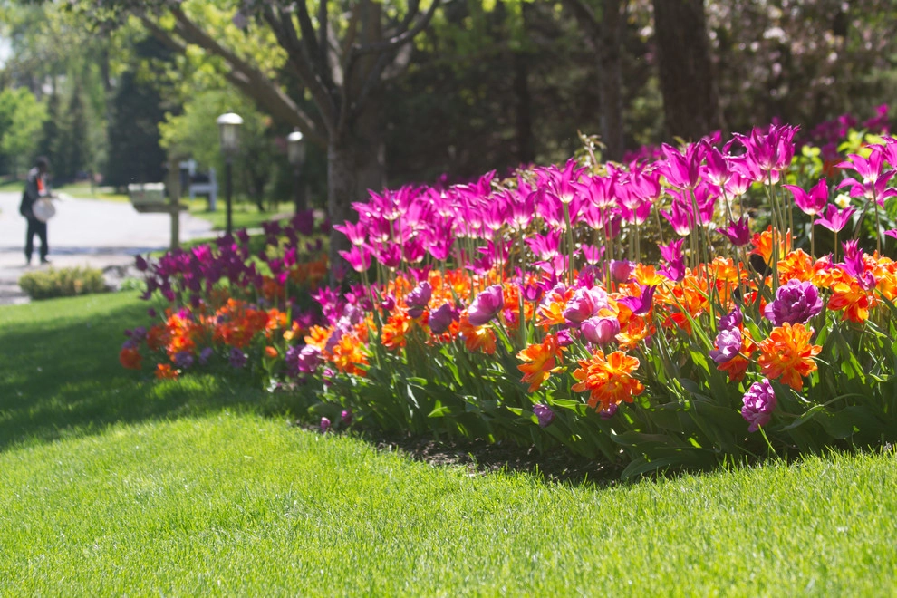 Gorgeous Garden Beds by Bachman's Landscaping & Garden Services - Photo 9