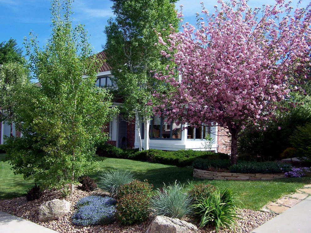Bluebird Design & Landscape LLC - Photo 7