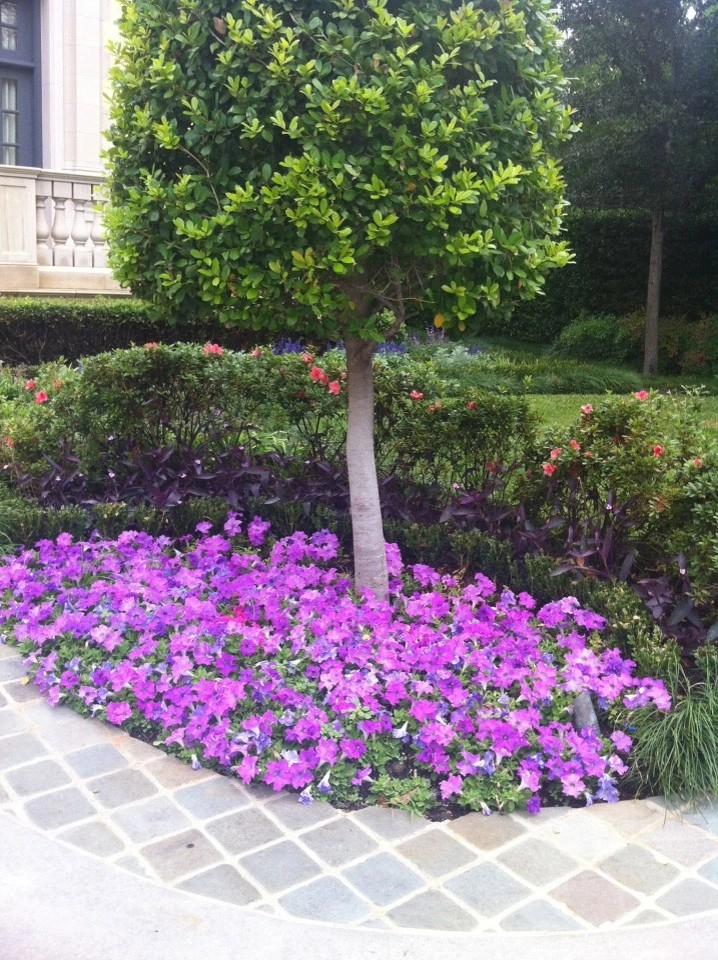 Landscape Design by Brumley Gardens - Photo 18