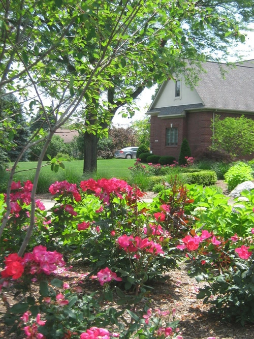 Barkman Landscaping INC - Photo 7