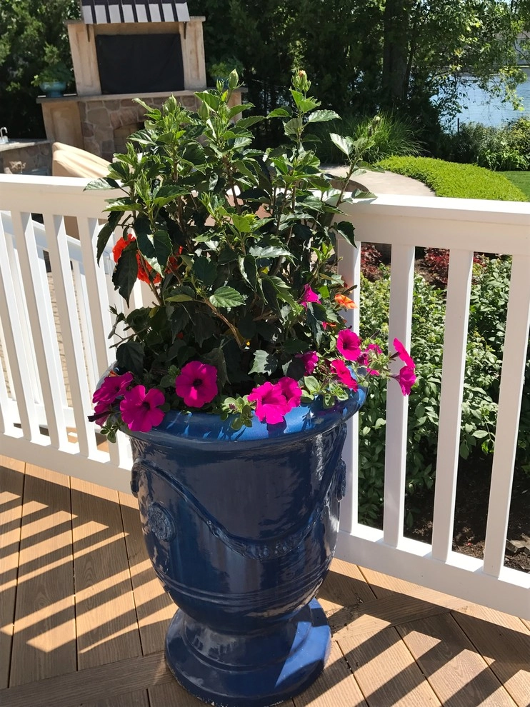 Seasonal Color by Barkman Landscaping INC - Photo 2