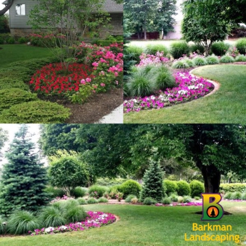 Barkman Landscaping INC - Photo 3