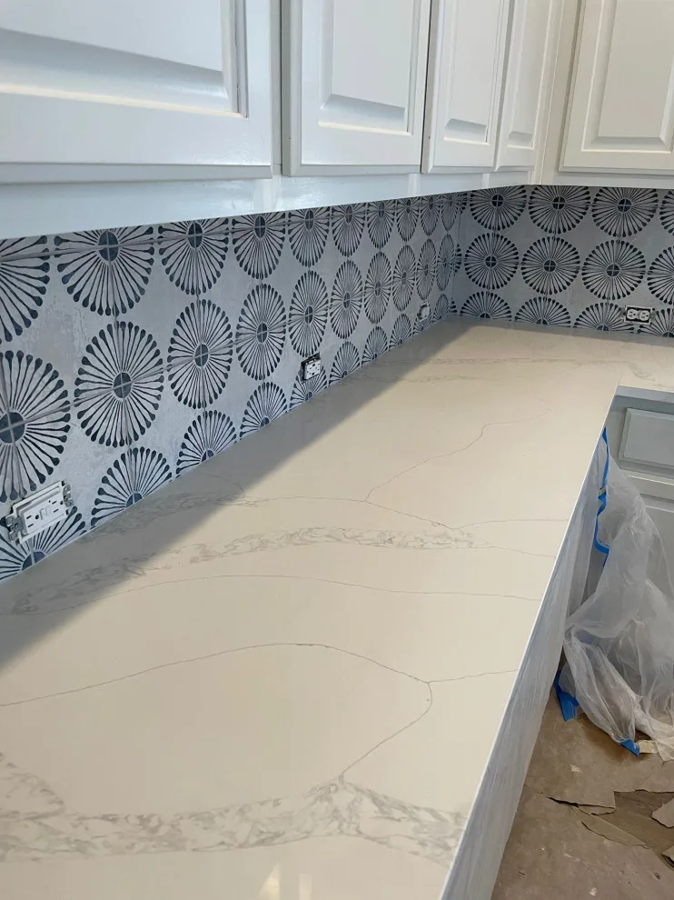 Culinary space renovation by Austin Dream Remodeling - Photo 8
