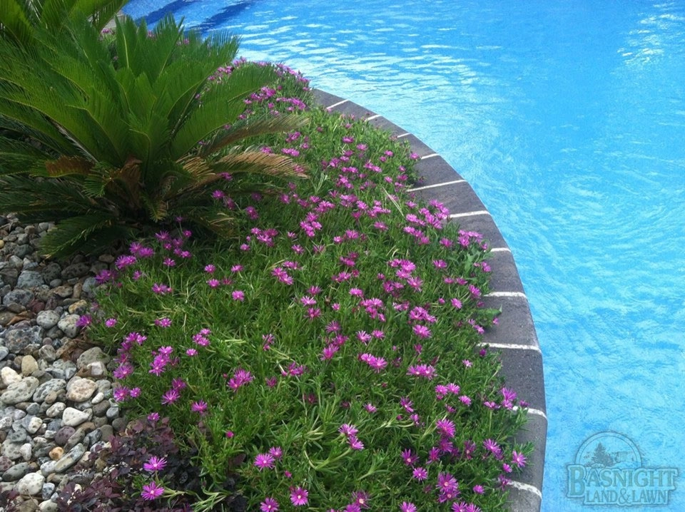 Pool Areas by Basnight Land And Lawn Inc. - Photo 43
