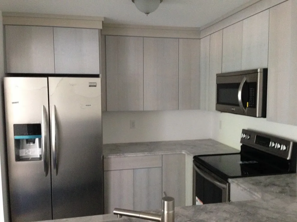 Gray Condo Kitchen by Total Solutions NP, LLC - Photo 3