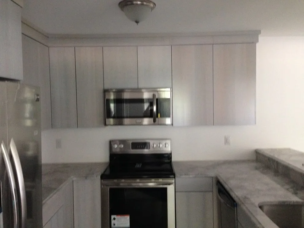 Gray Condo Kitchen by Total Solutions NP, LLC - Photo 4