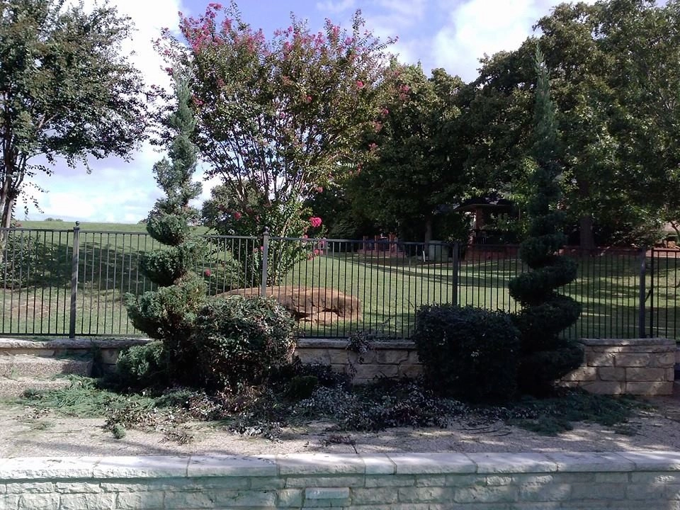 Be Green Texas Lawn Care - Photo 11