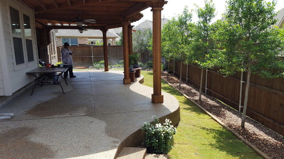 Privacy Trees by Be Green Texas Lawn Care - Photo 4