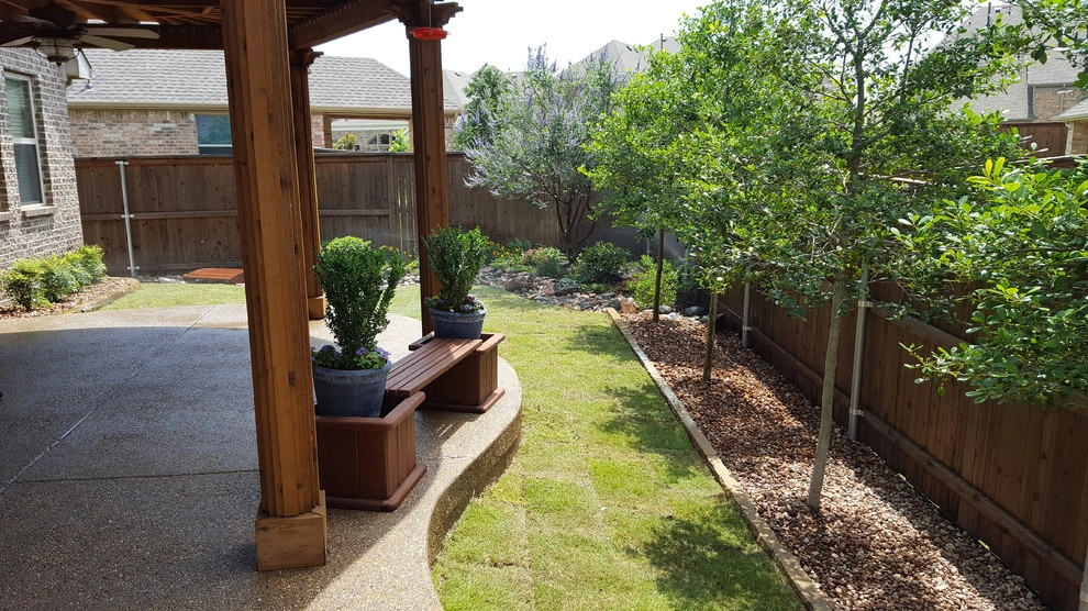 Privacy Trees by Be Green Texas Lawn Care - Photo 5