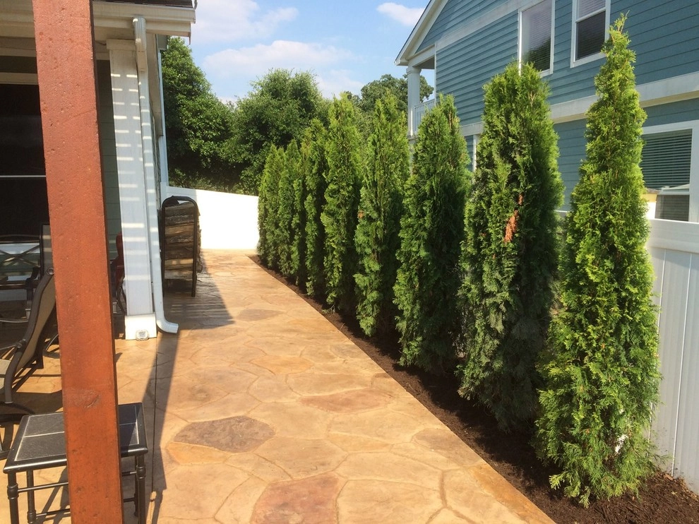 Our Work by Be Green Texas Lawn Care - Photo 2