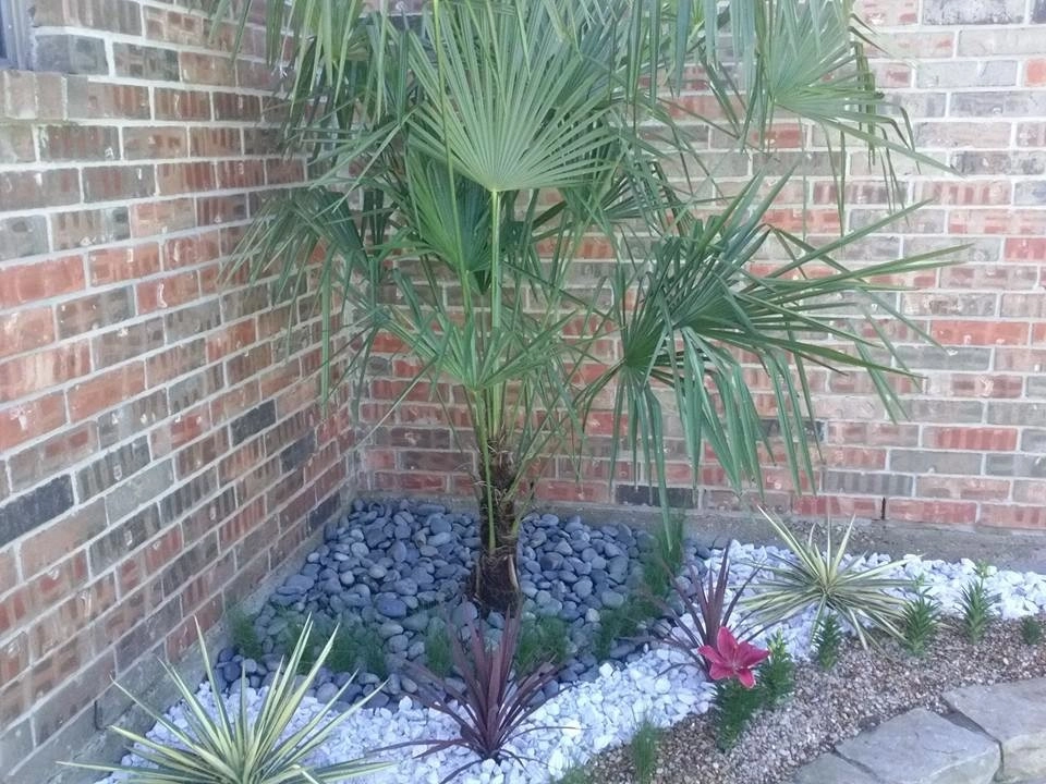 Our Work by Be Green Texas Lawn Care - Photo 14