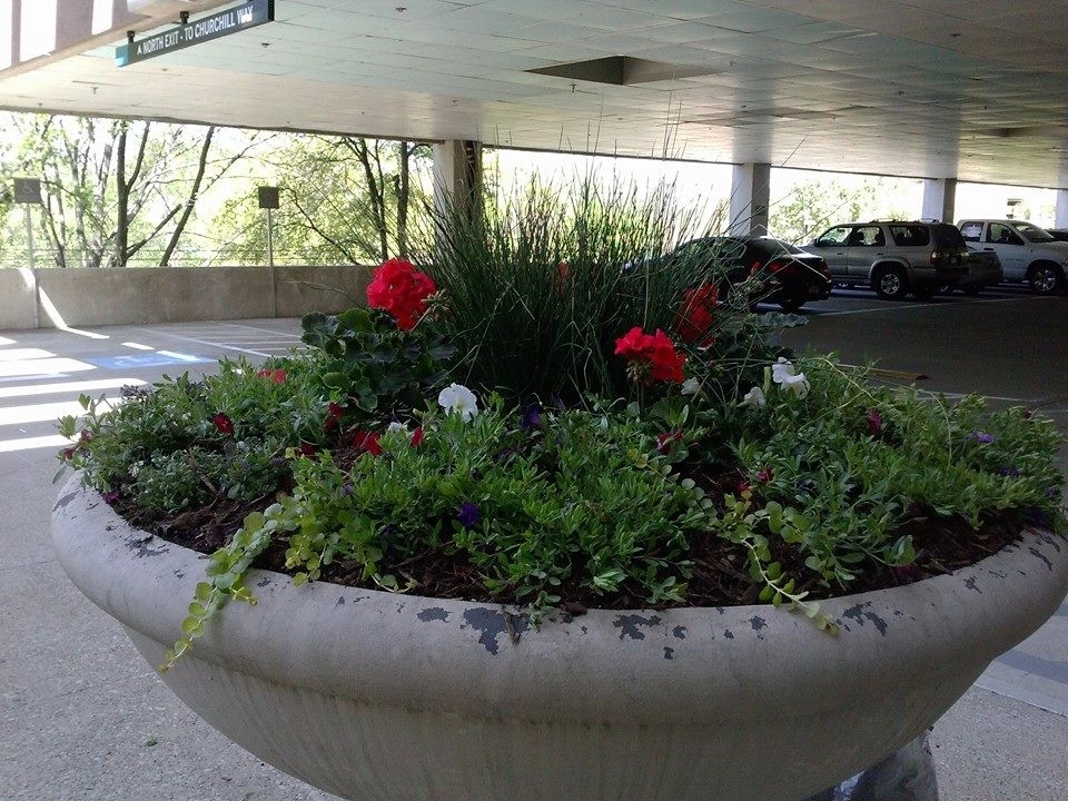 Commercial Landscape by Be Green Texas Lawn Care - Photo 3