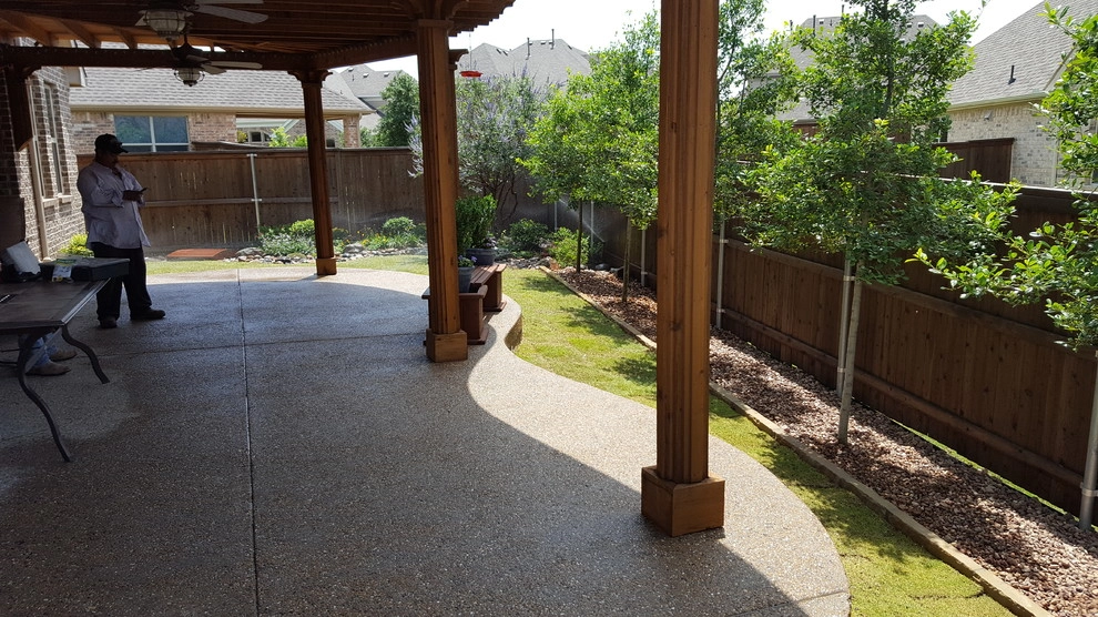 Privacy Trees by Be Green Texas Lawn Care - Photo 2