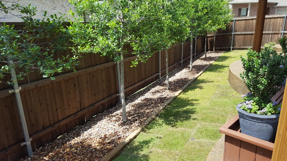 Privacy Trees by Be Green Texas Lawn Care - Photo 3