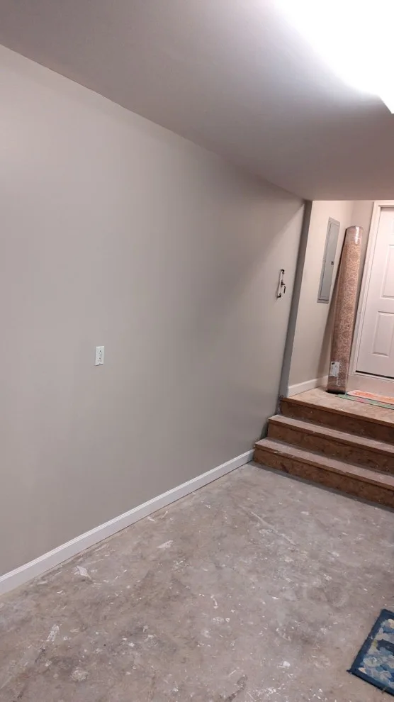 Brannigan Project by MEL Realty Repairs LLC - Photo 6