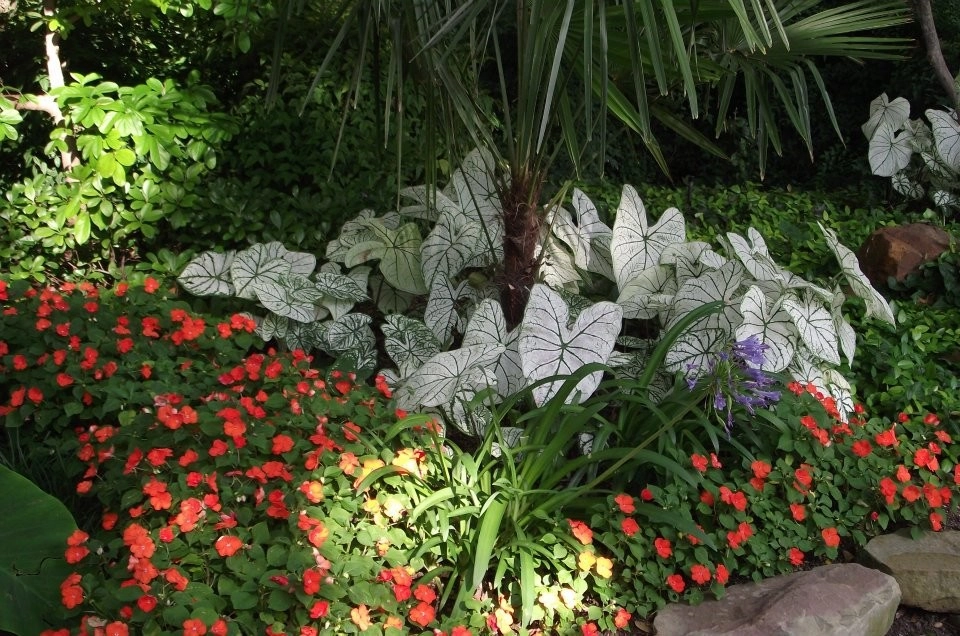 Landscape Design by Brumley Gardens - Photo 10