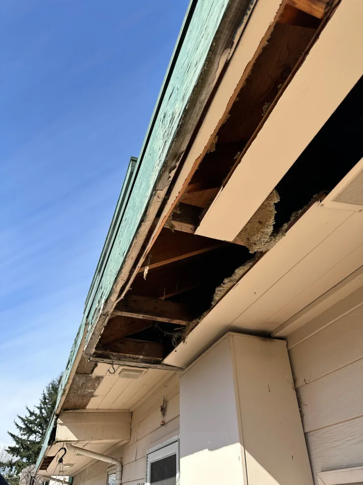 Seattle-Burien Exterior Renovation by Contemporary Quarters - Photo 4