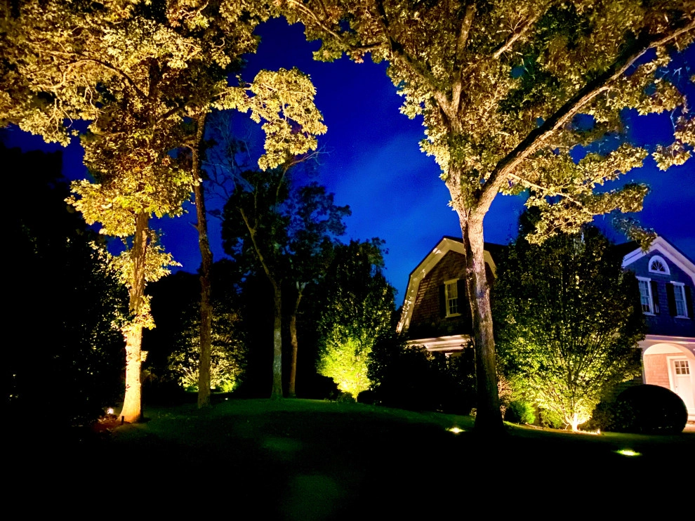 Bettencourt Irrigation And Landscaping Lighting - Photo 6