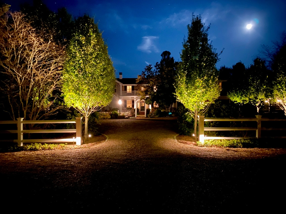 Bettencourt Irrigation And Landscaping Lighting - Photo 4
