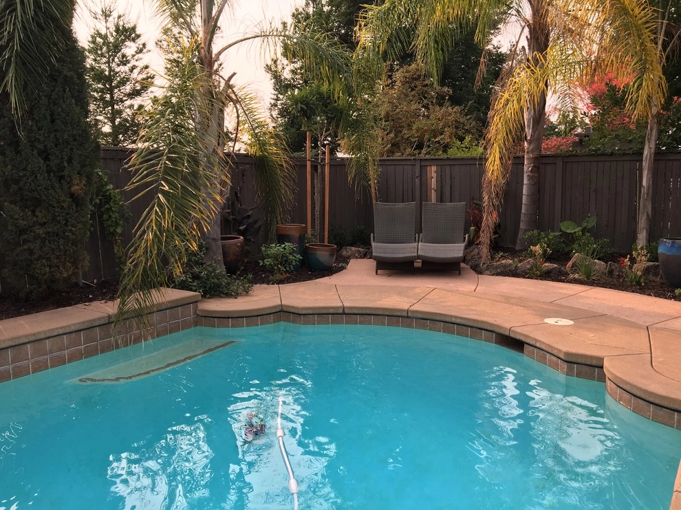 Creating shady seating areas around an existing pool by Bluestar Landscape Designers - Photo 3