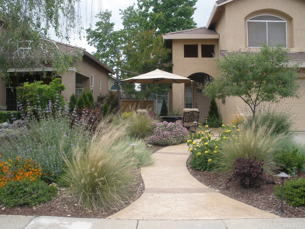 Drought Tolerant Landscape with Courtyard Feel by Bluestar Landscape Designers - Photo 3