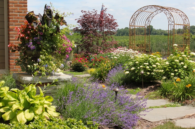Beyond Landscaping - Photo 3