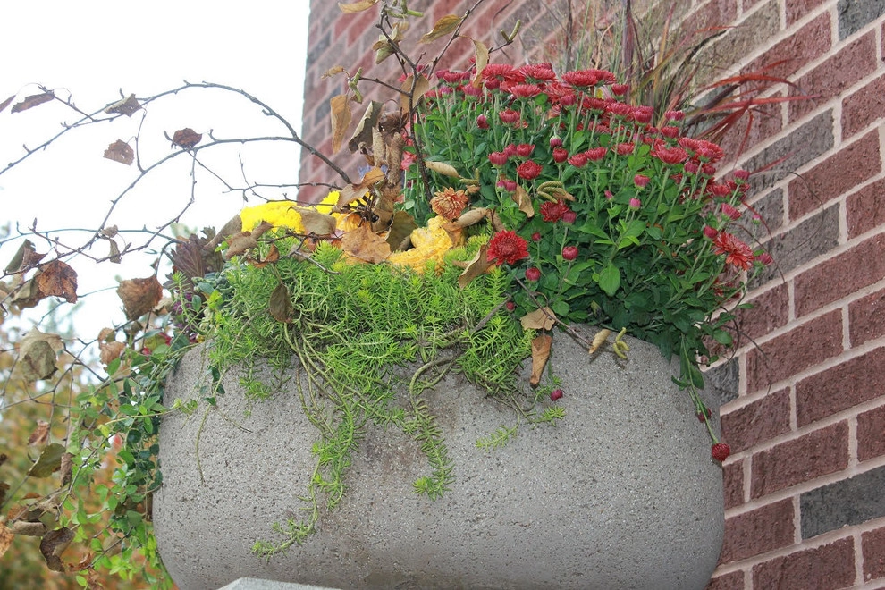 Fall Decorations by Beyond Landscaping - Photo 2
