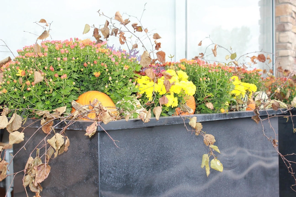Fall Decorations by Beyond Landscaping - Photo 3
