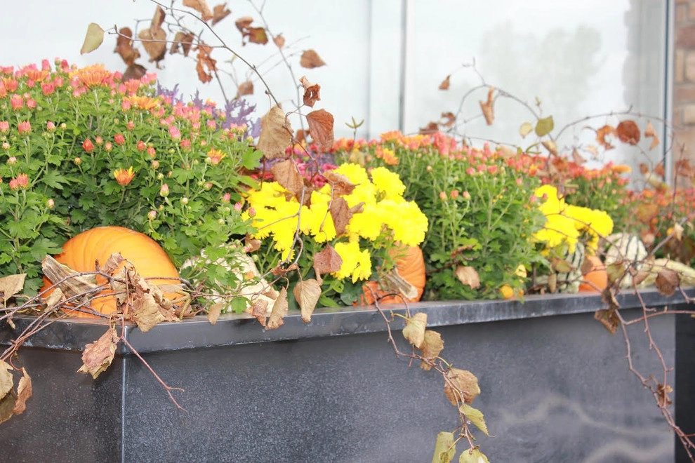 Fall Decorations by Beyond Landscaping - Photo 8