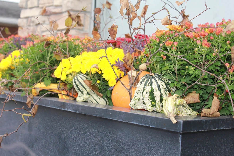 Fall Decorations by Beyond Landscaping - Photo 5