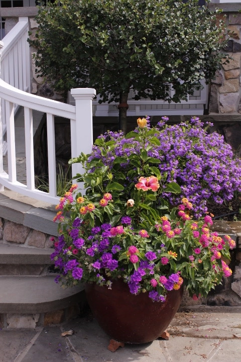 Annual Planting by Beyond Landscaping - Photo 2