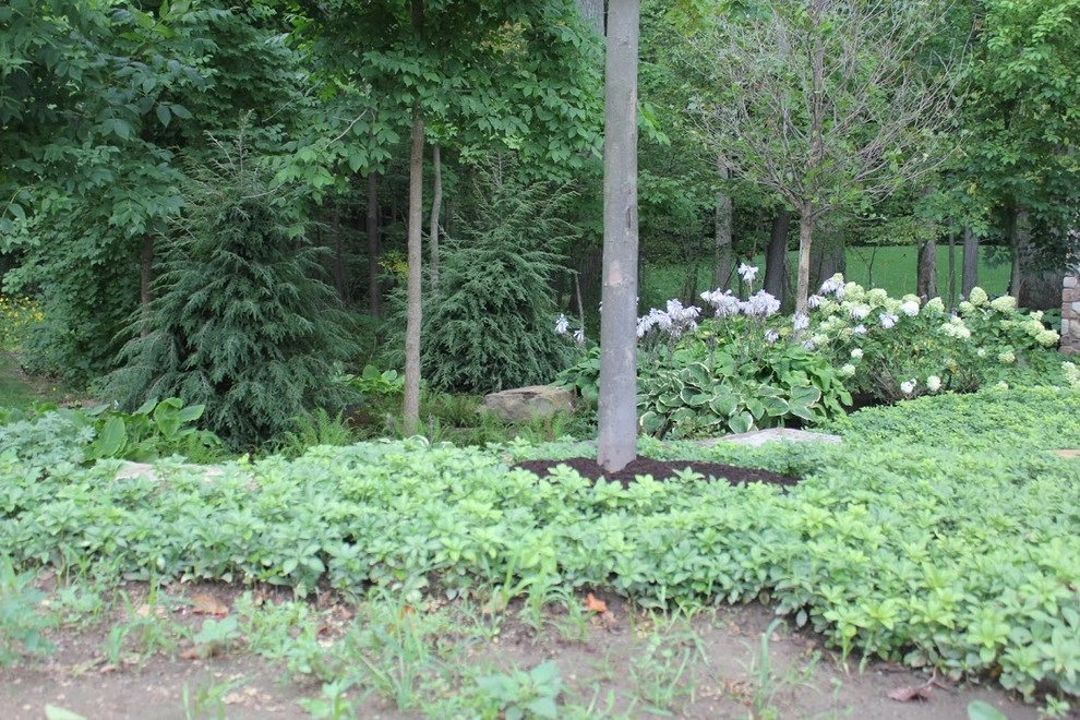 Recent Projects by Beyond Landscaping - Photo 5