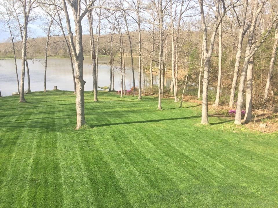 Lawns by Beyond Landscaping - Photo 4