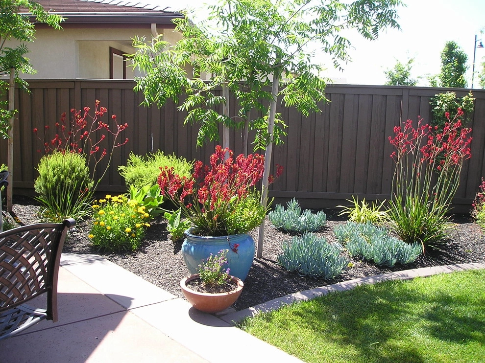 Portfolio of Pots by Bluestar Landscape Designers - Photo 6