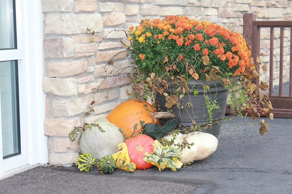 Fall Decorations by Beyond Landscaping - Photo 12