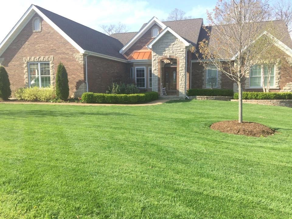 Lawns by Beyond Landscaping - Photo 2