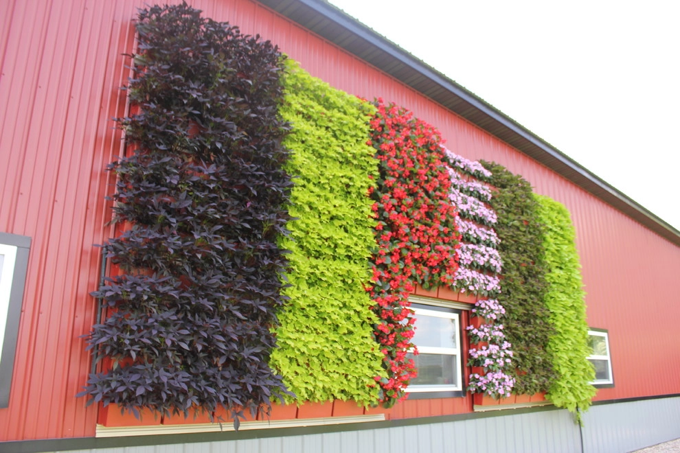 Live Wall by Beyond Landscaping - Photo 3
