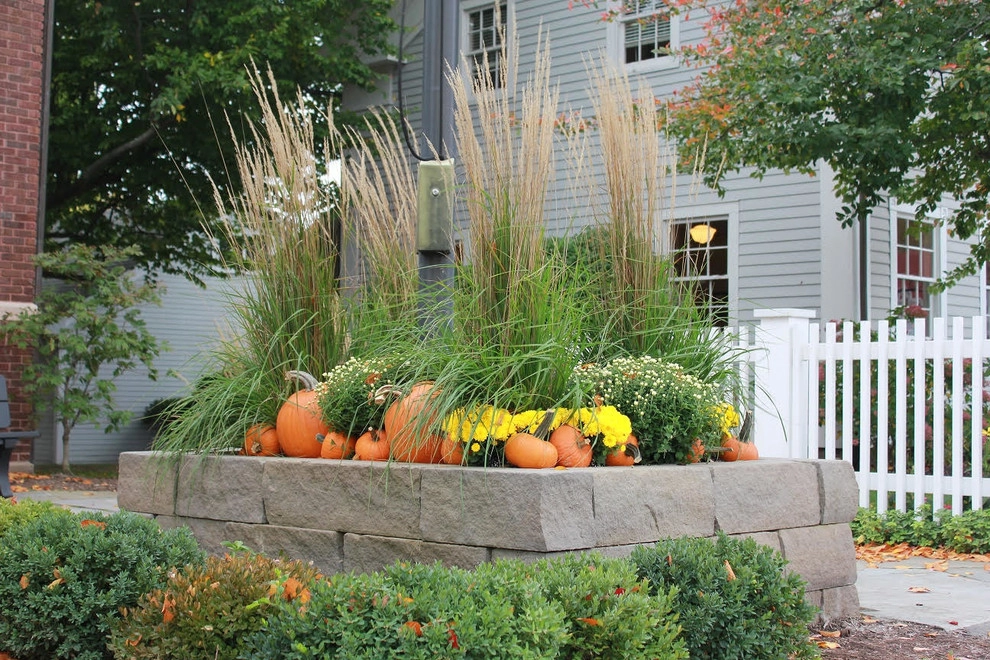 Fall Decorations by Beyond Landscaping - Photo 15