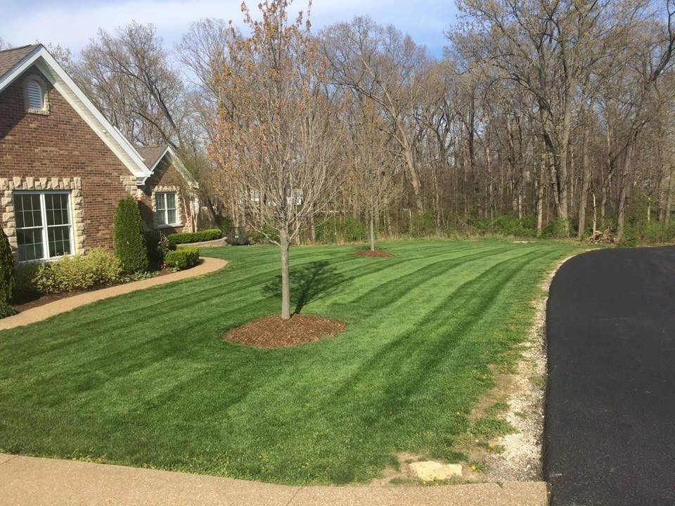 Lawns by Beyond Landscaping - Photo 7