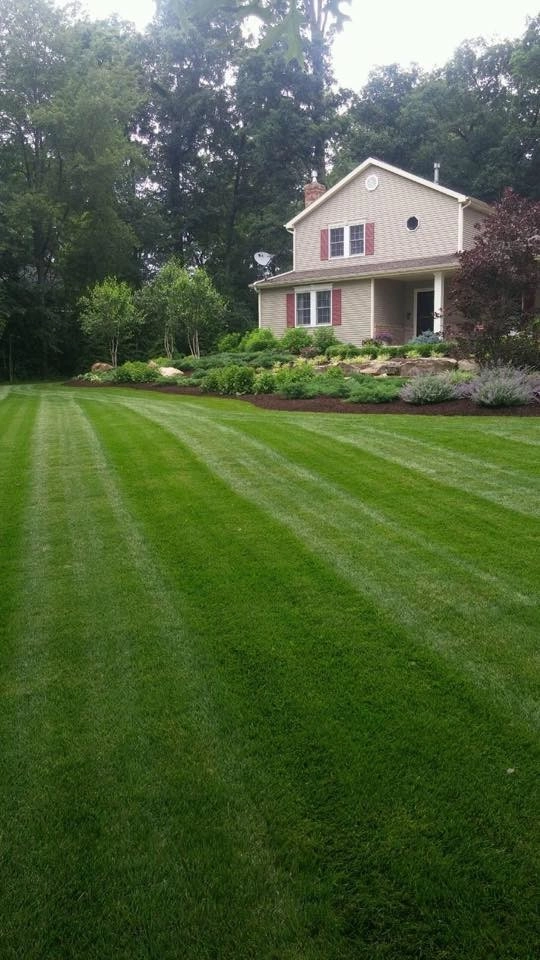 Lawns by Beyond Landscaping - Photo 3