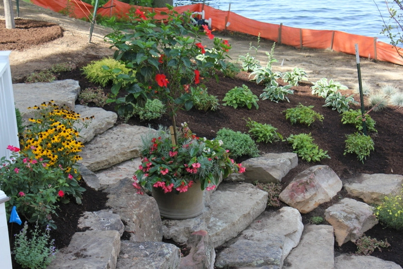 Plant Installation by Beyond Landscaping - Photo 3