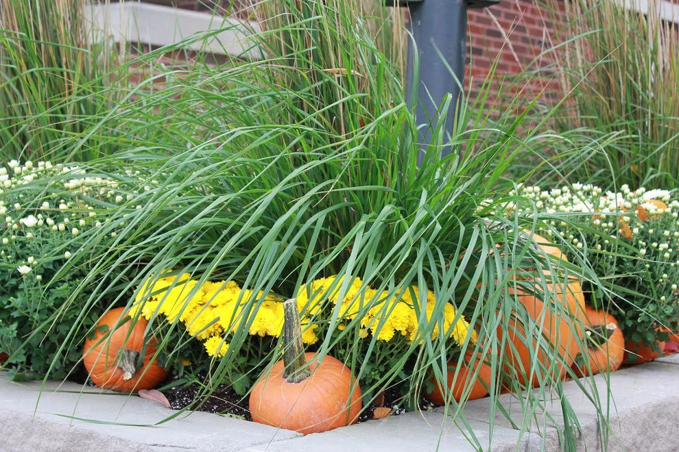 Fall Decorations by Beyond Landscaping - Photo 16