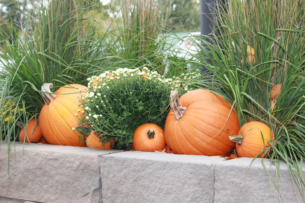 Fall Decorations by Beyond Landscaping - Photo 13