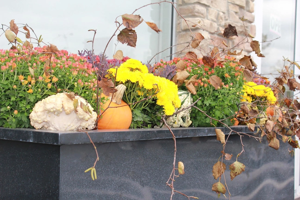 Fall Decorations by Beyond Landscaping - Photo 11