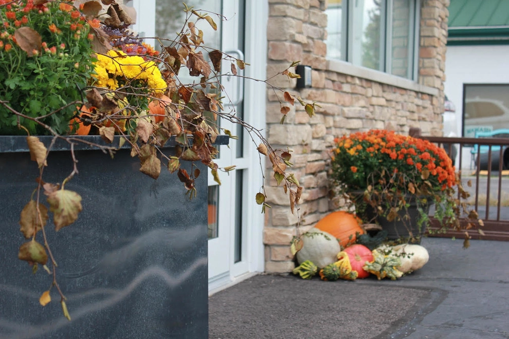 Beyond Landscaping - Photo 7