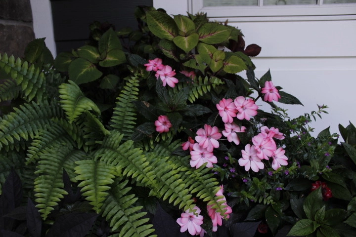Annual Planting by Beyond Landscaping - Photo 5